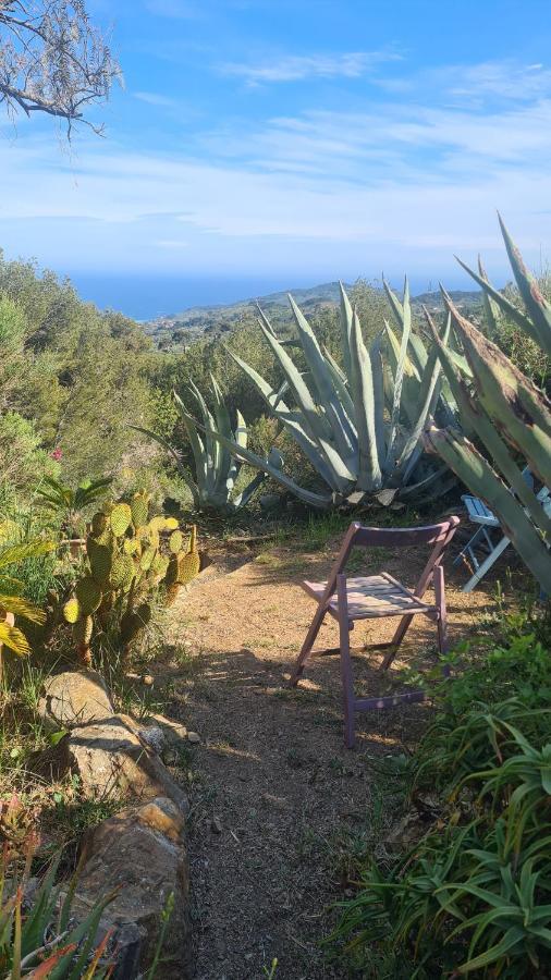 Casa Merea 16 Costa d'Oneglia Εξωτερικό φωτογραφία