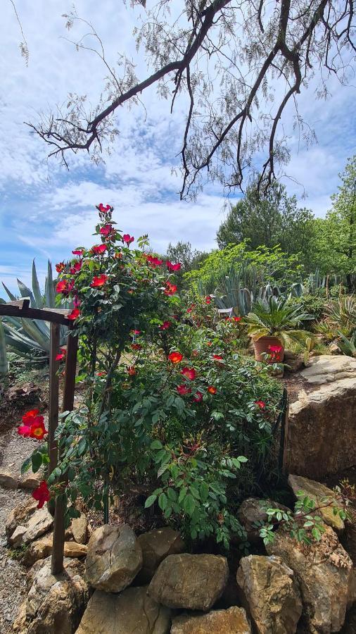 Casa Merea 16 Costa d'Oneglia Εξωτερικό φωτογραφία